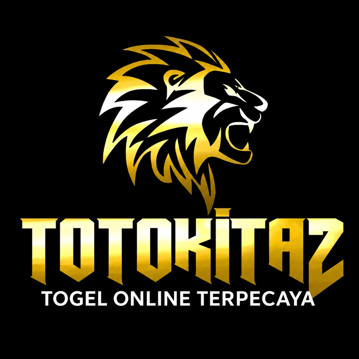 totokita2